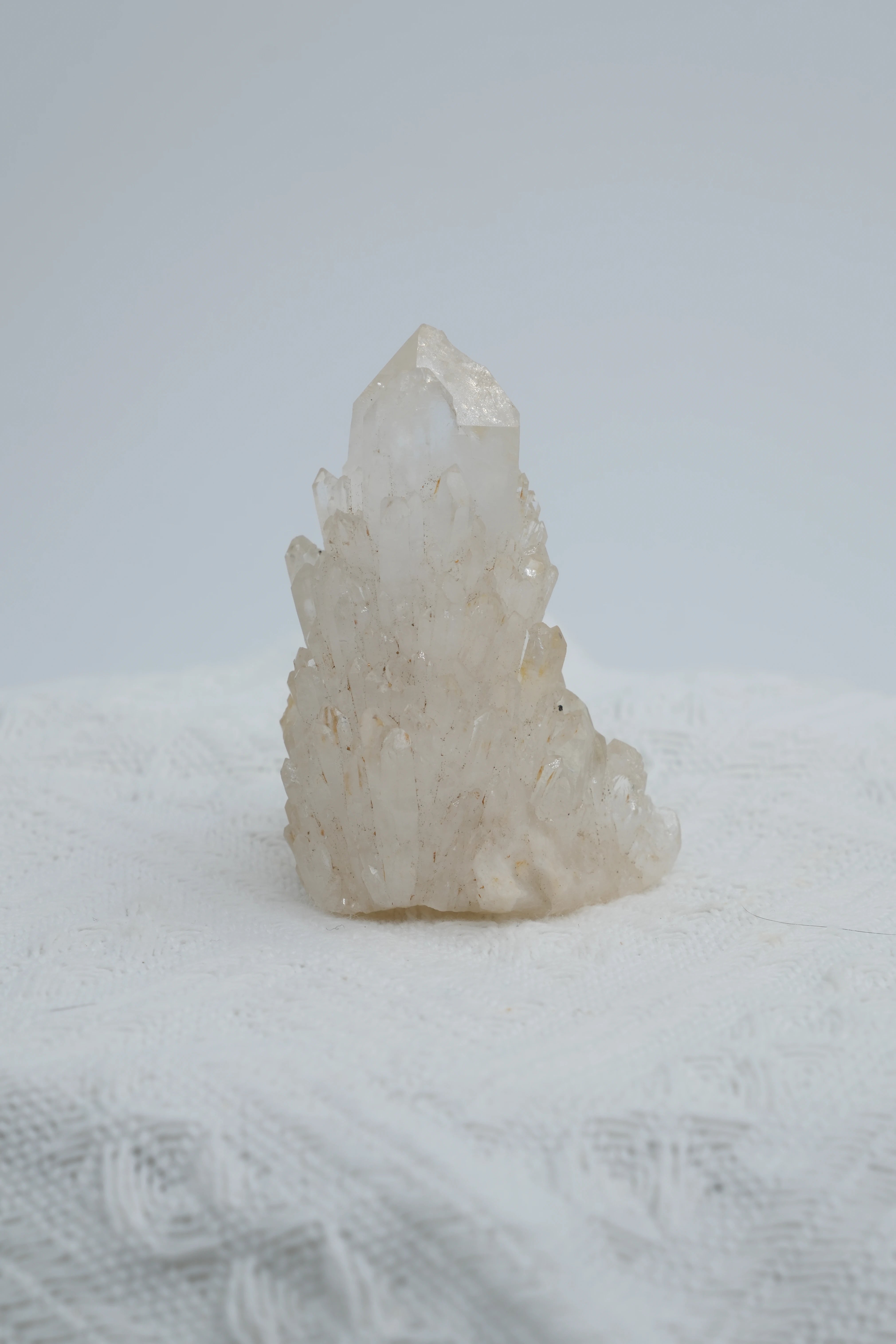 Infinite Crystal,Excellent Cactus-shaped Clear Quartz
Purification, Intuition, Balance