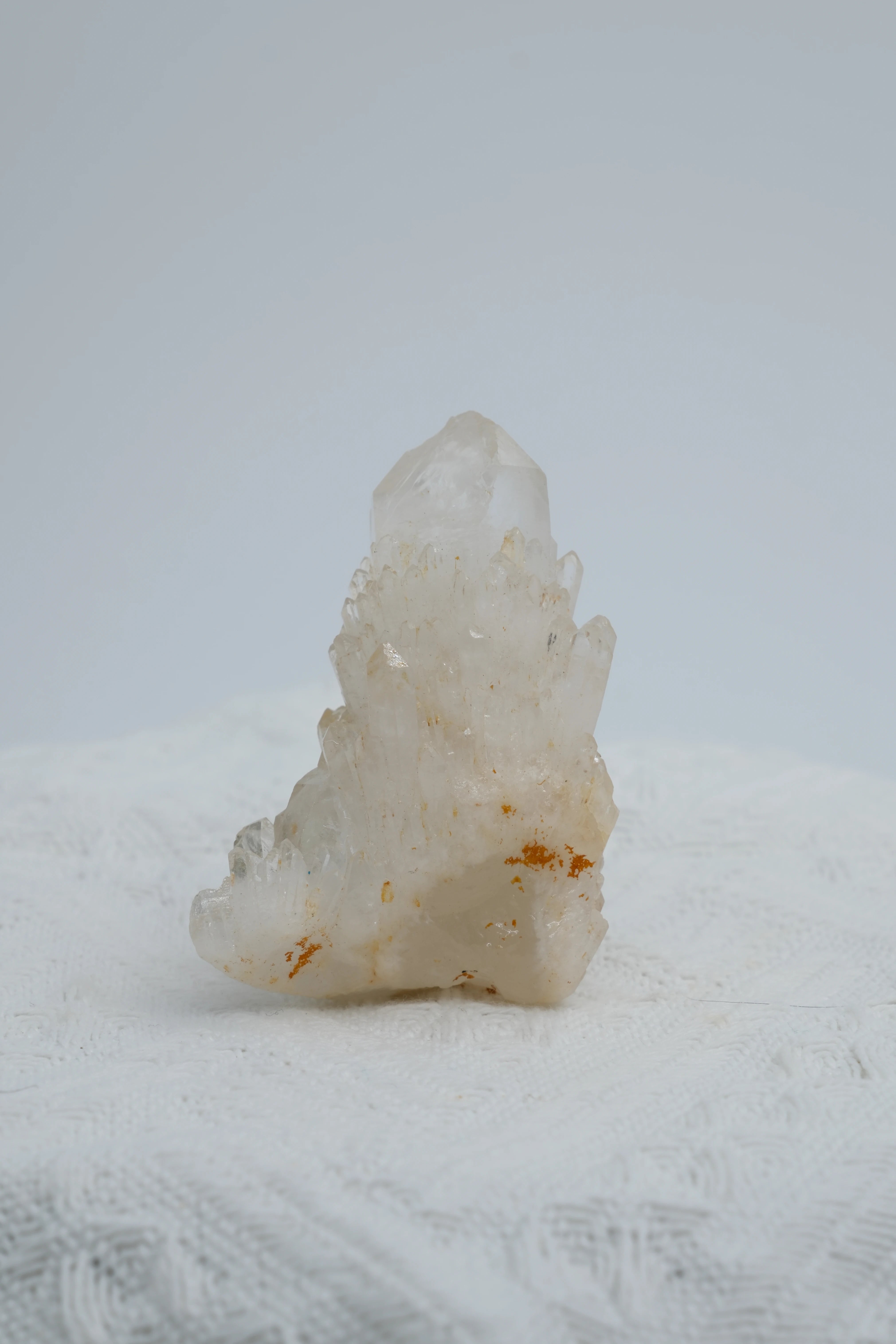 Infinite Crystal,Excellent Cactus-shaped Clear Quartz
Purification, Intuition, Balance