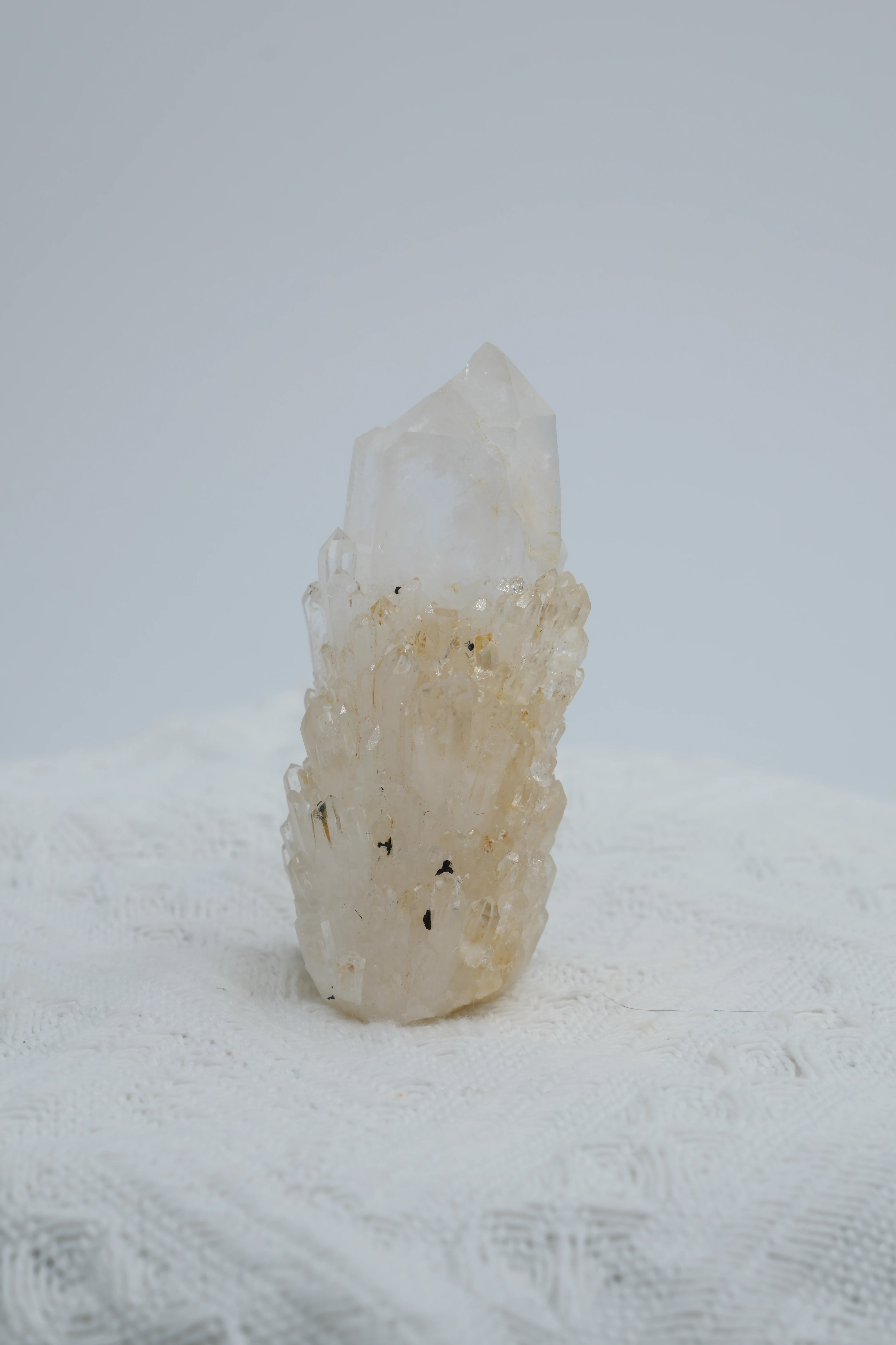 Infinite Crystal,Excellent Cactus-shaped Clear Quartz
Purification, Intuition, Balance