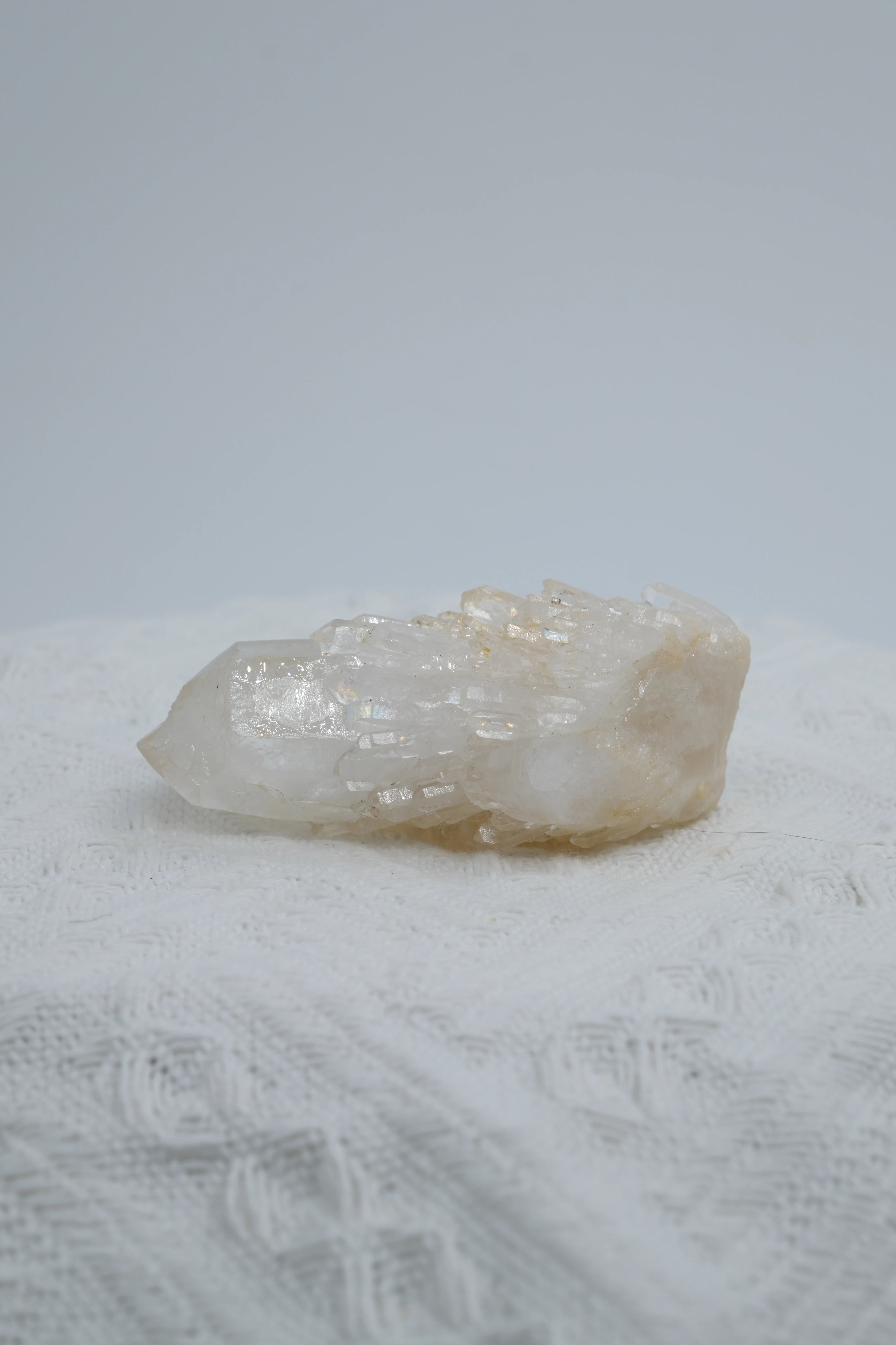 Infinite Crystal,Excellent Cactus-shaped Clear Quartz
Purification, Intuition, Balance