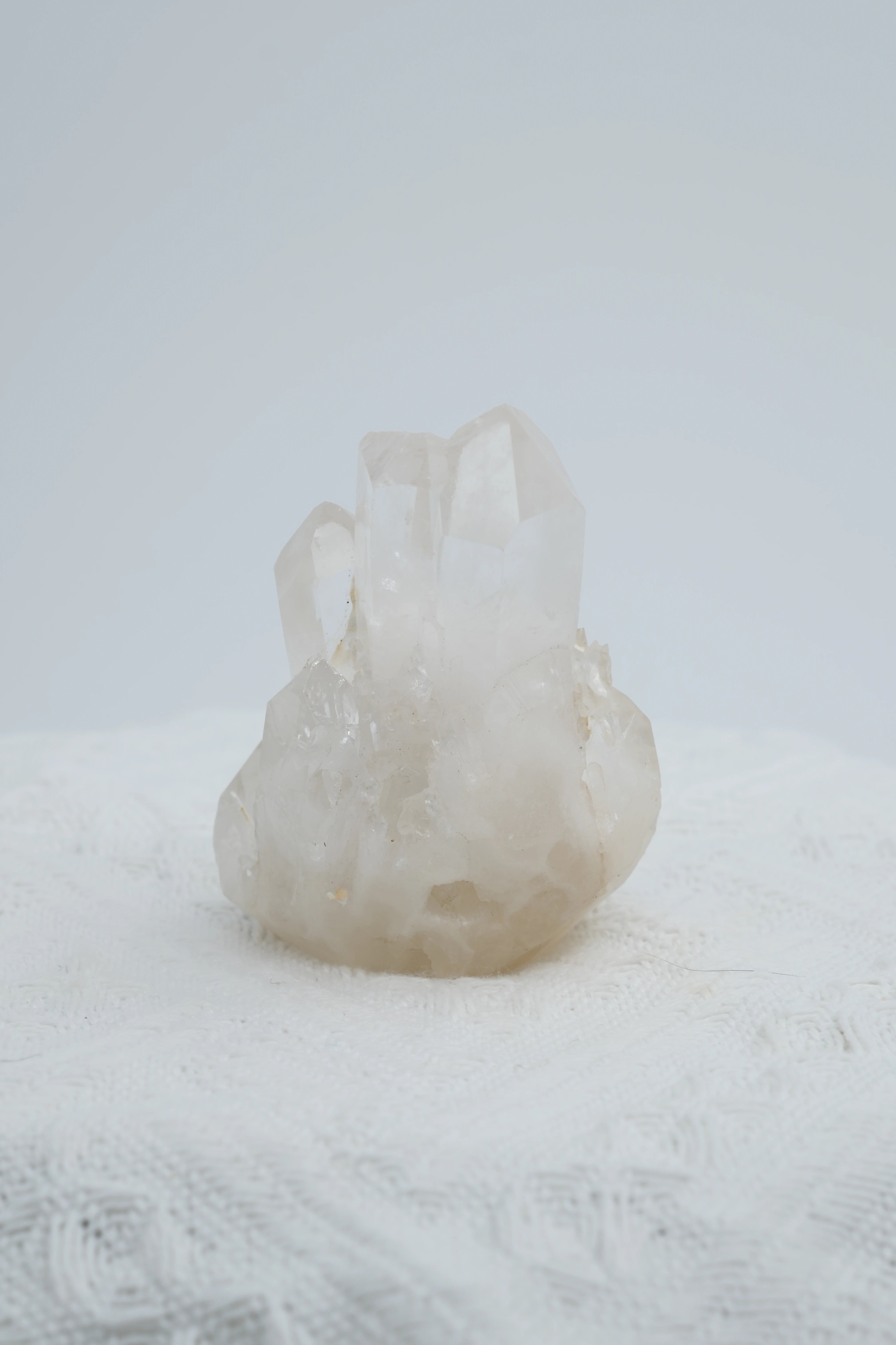 Infinite Crystal,Excellent Cactus-shaped Clear Quartz
Purification, Intuition, Balance
