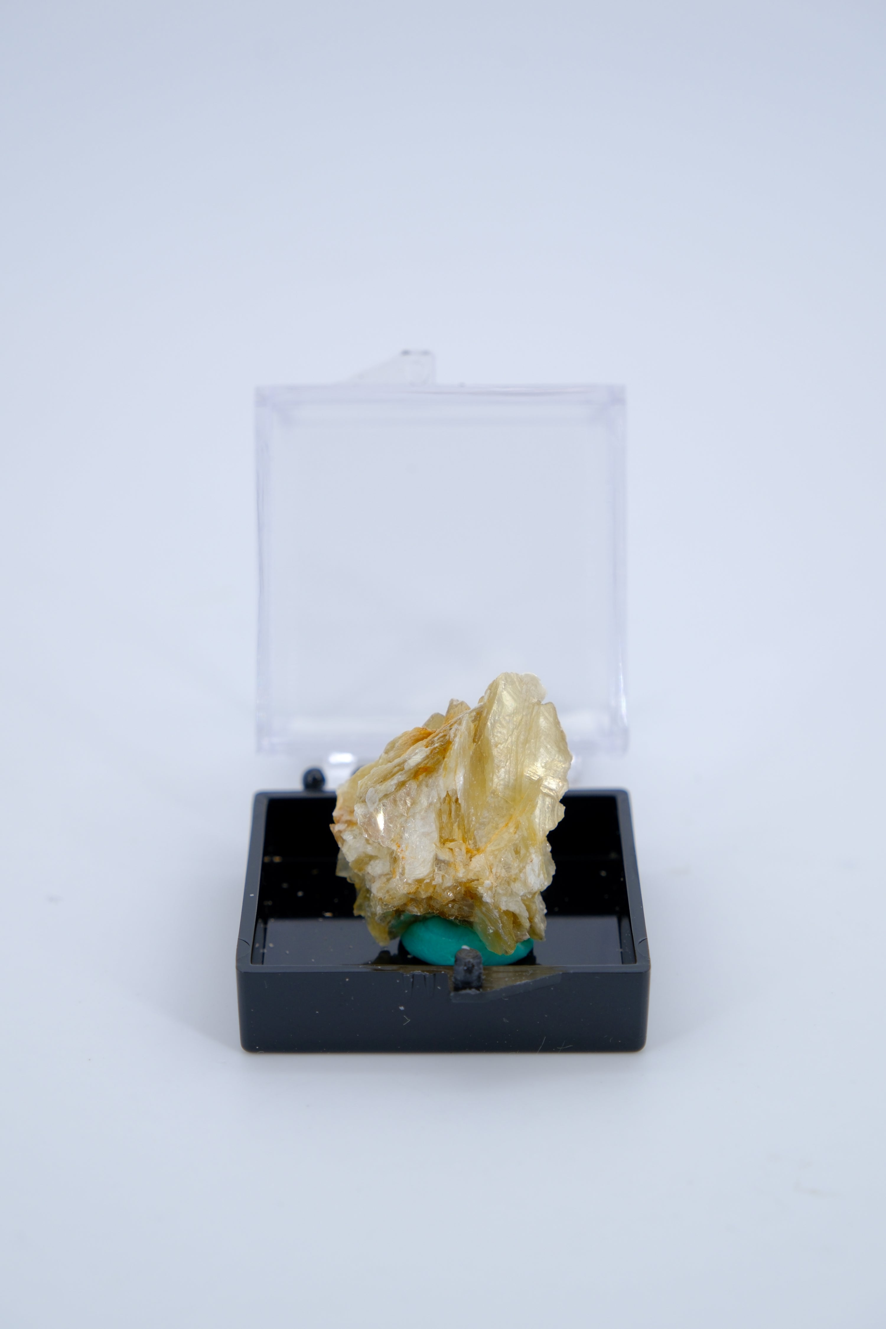 Golden Elegance: A Selection of Radiant Yellow and Gold Minerals