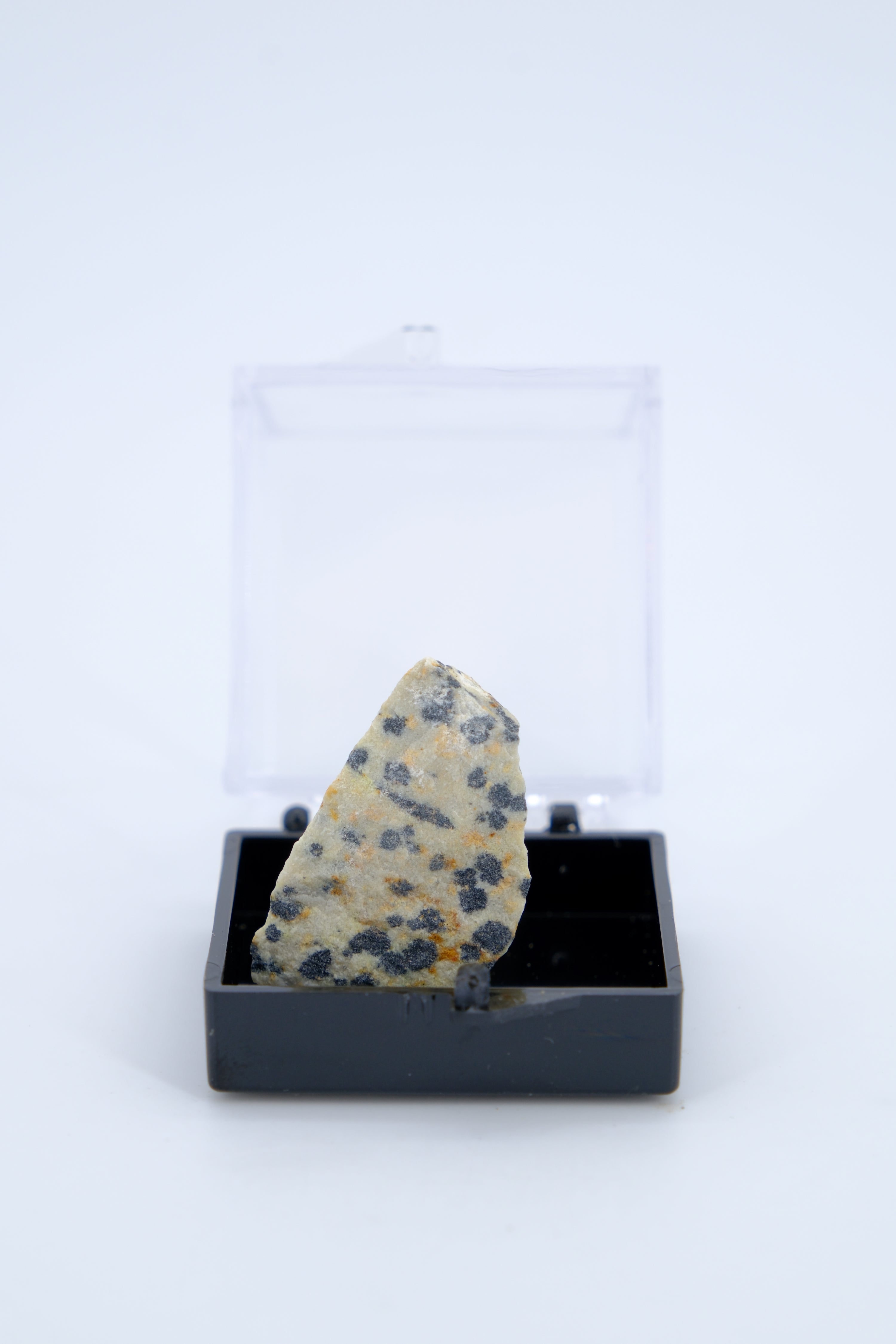 Treasures of Time - A Diverse Mineral Collection of Earthly Wonders