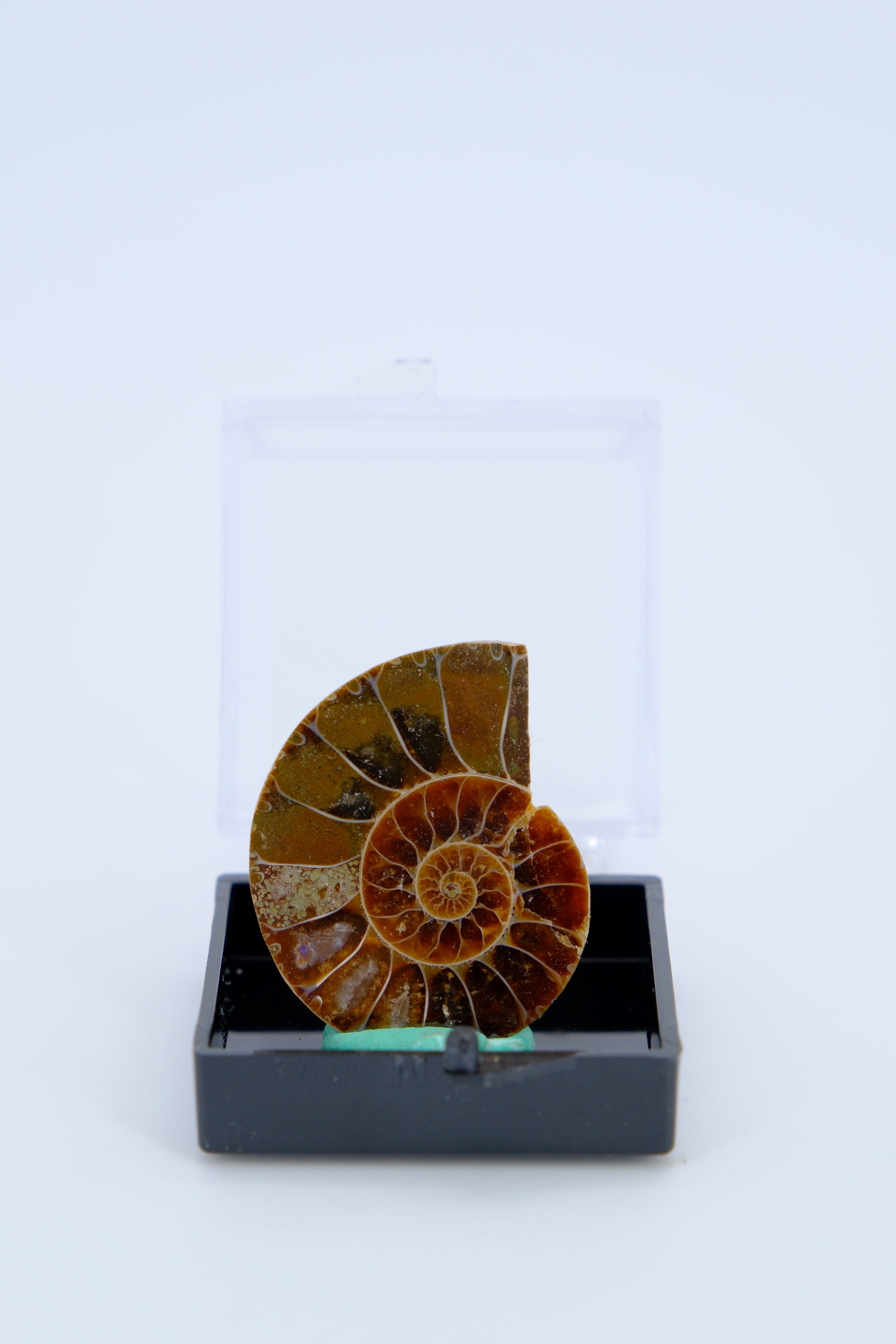 Treasures of Time - A Diverse Mineral Collection of Earthly Wonders