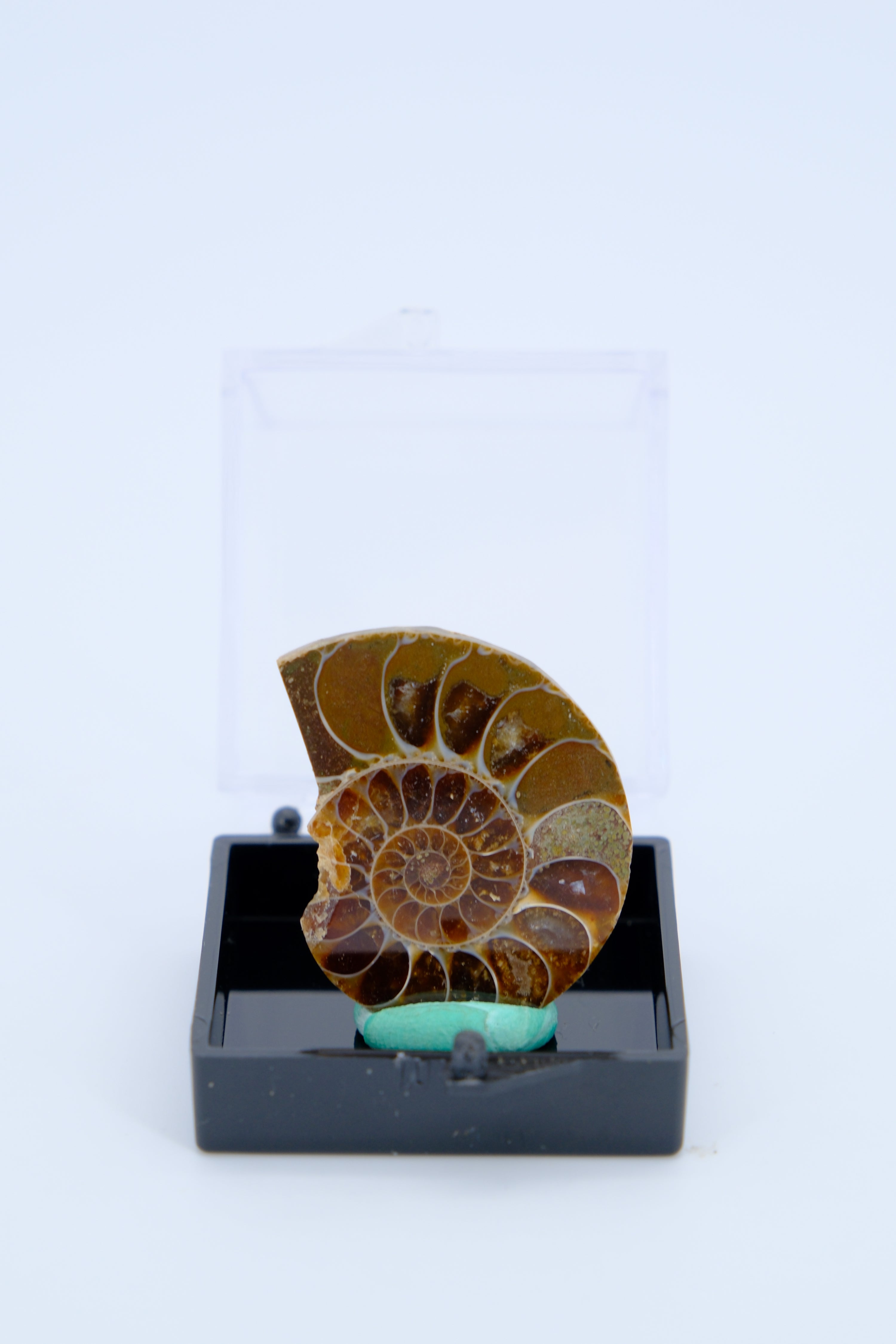 Treasures of Time - A Diverse Mineral Collection of Earthly Wonders